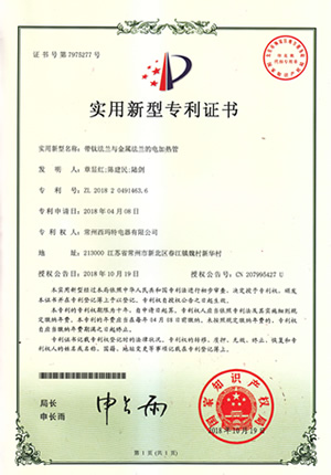 帶鈦法蘭與金屬法蘭的電加熱管